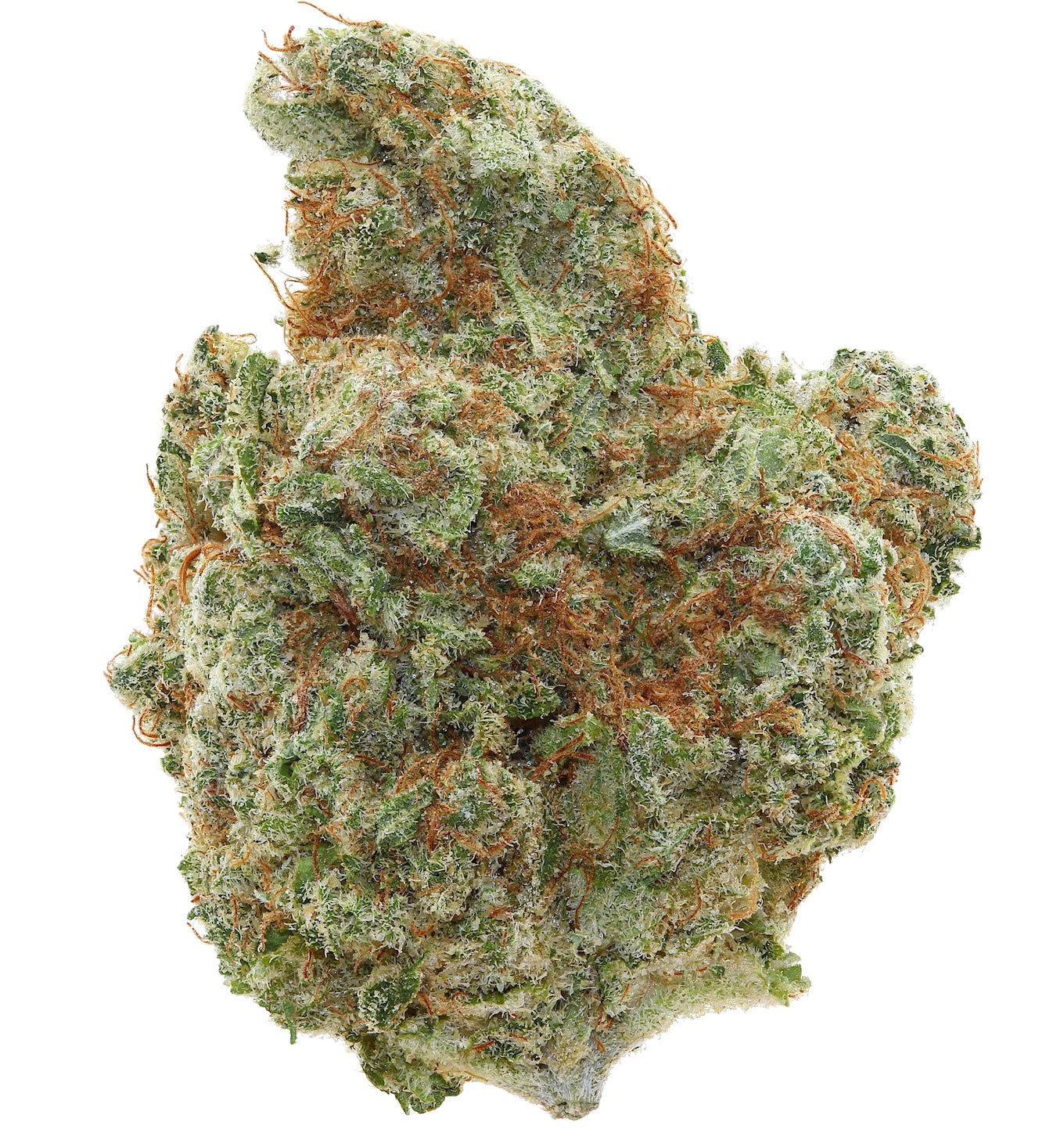 GELATO #33<br> (SMALL BUDS) <br> (AAAA Hybrid)