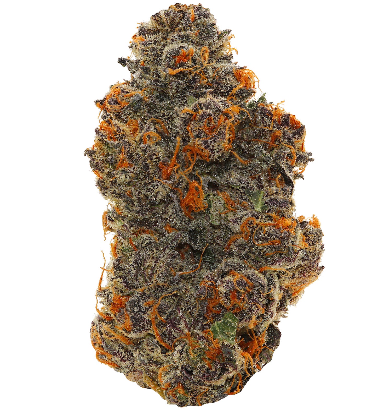 WALT'S <br> RS11 <br> (AAAAA Hybrid)