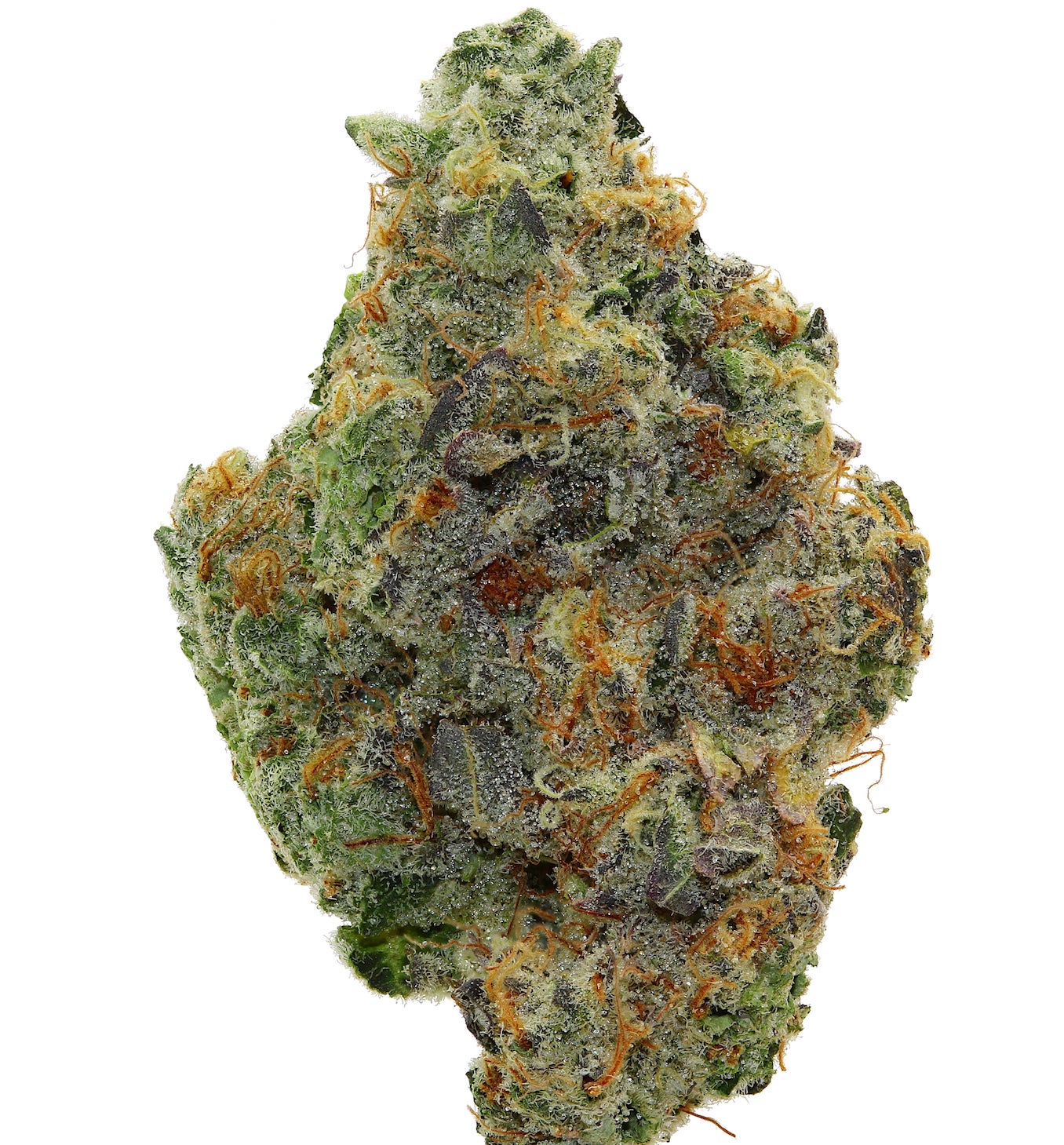 WALT'S <br> DEATH MOON <br> (AAAAA Hybrid)