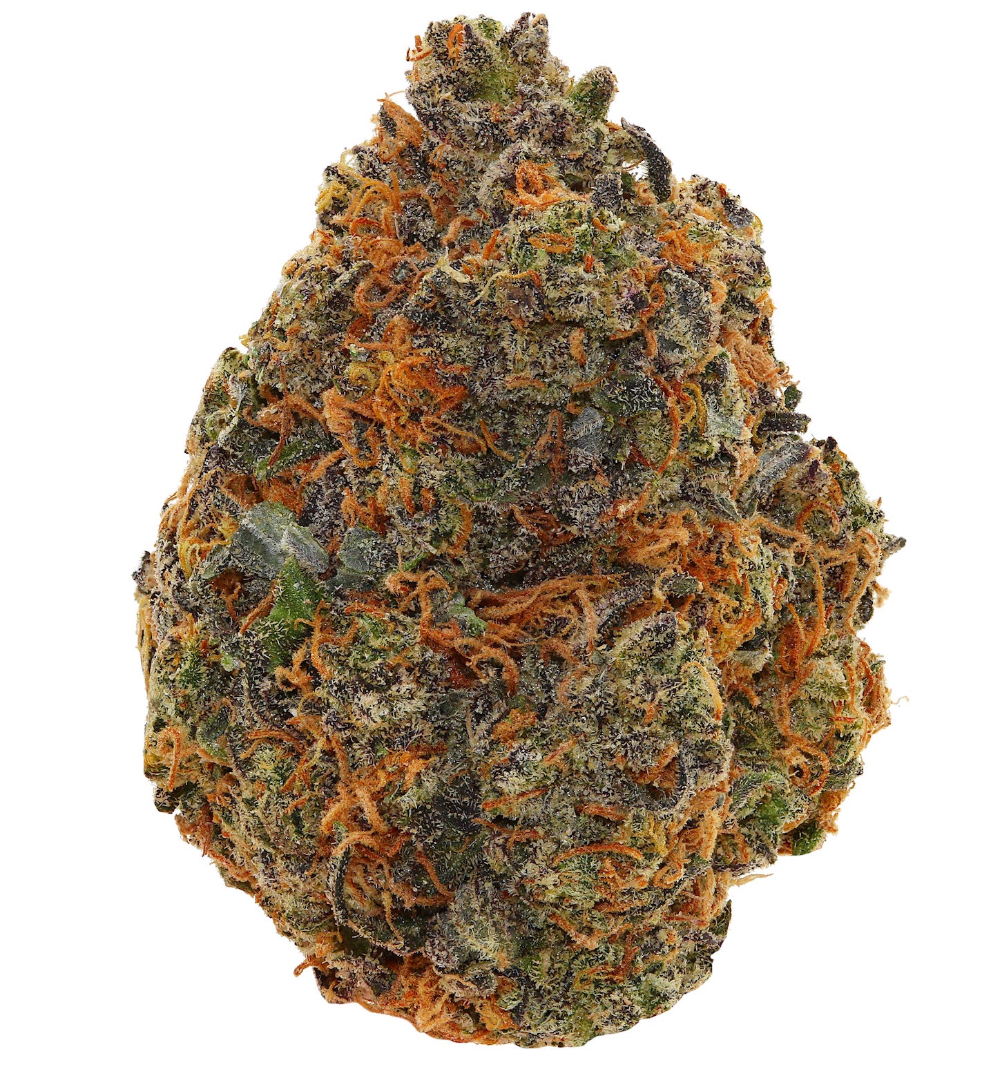 WALT'S <br> HOLLYWOOD WRECK <br> (AAAAA Sativa)