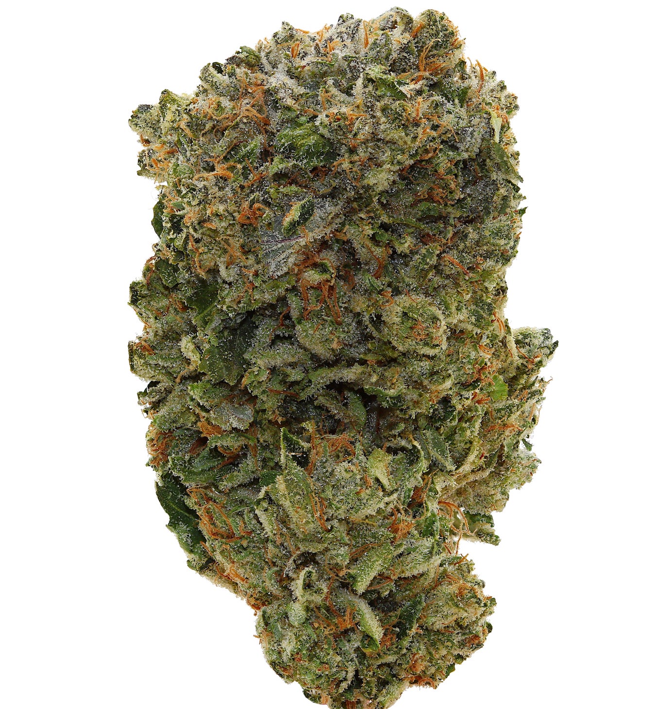 WALT'S <br> PINK GUAPO <br> (AAAAA+ Indica)