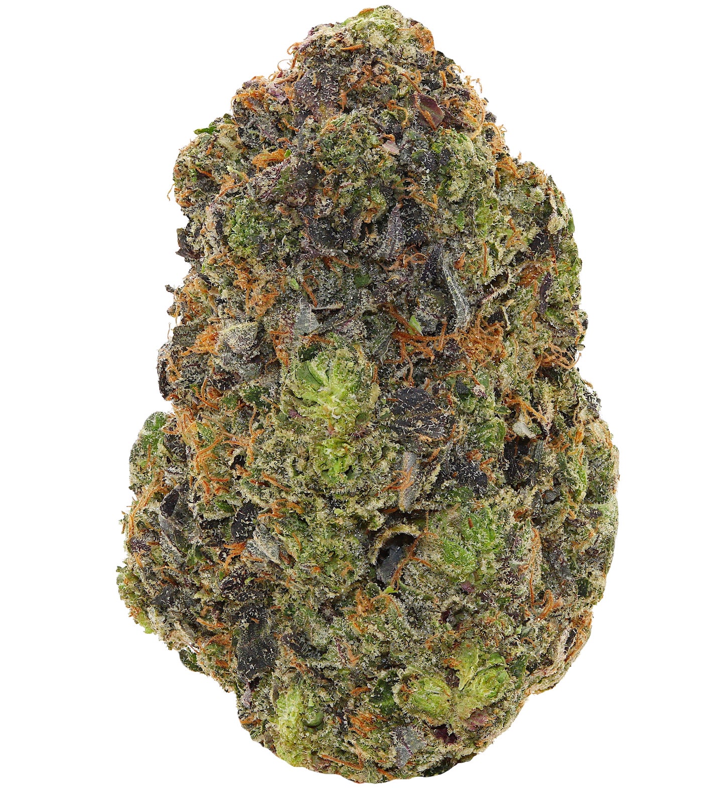 BLACK TUNA <br> (AAAAA Indica)