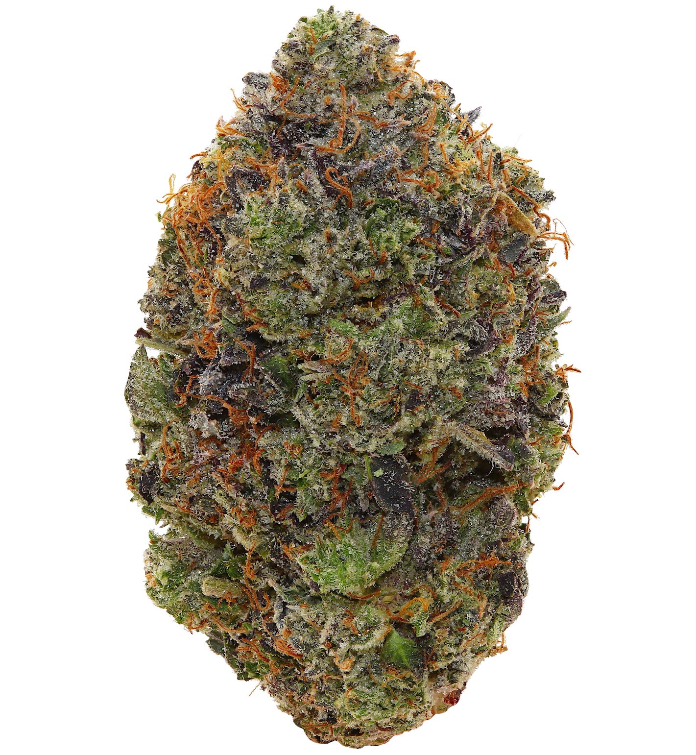 PINK RUNTZ <br> (AAAAA Indica)