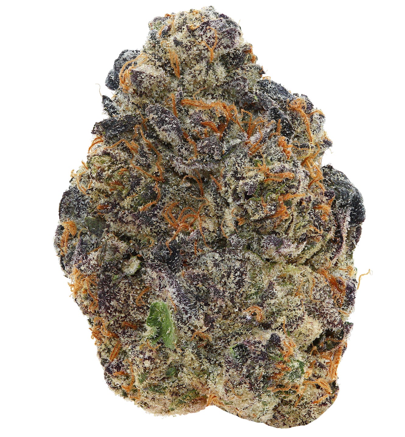 LA KUSH COOKIES <br> (SMALL BUDS) <br> (AAAA Hybrid)