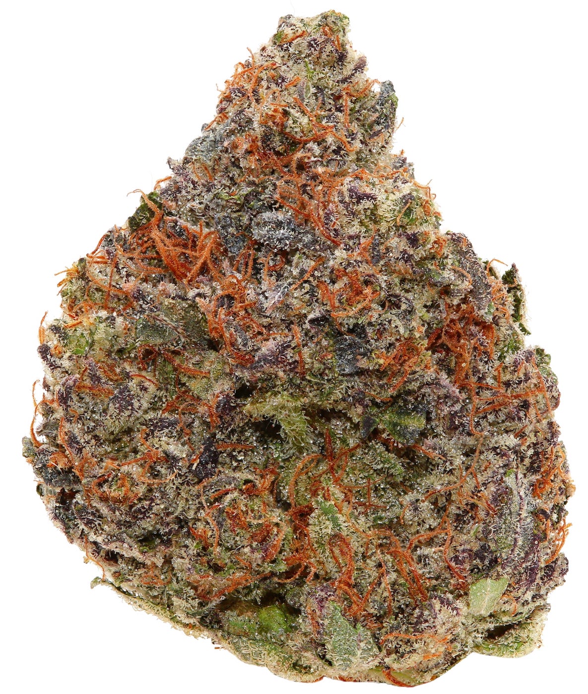 EL JEFE <br> (MICRO BUDS) <br> (AAAA Indica)