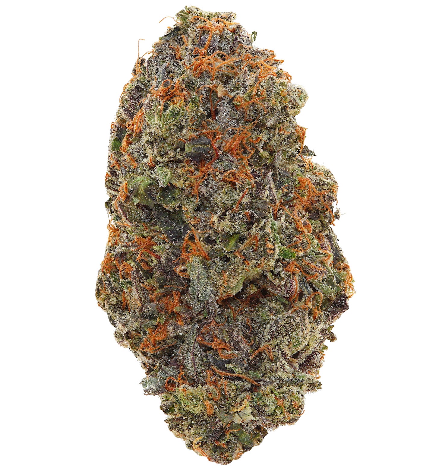 WEST COAST PINK <br> (AAAAA Indica)