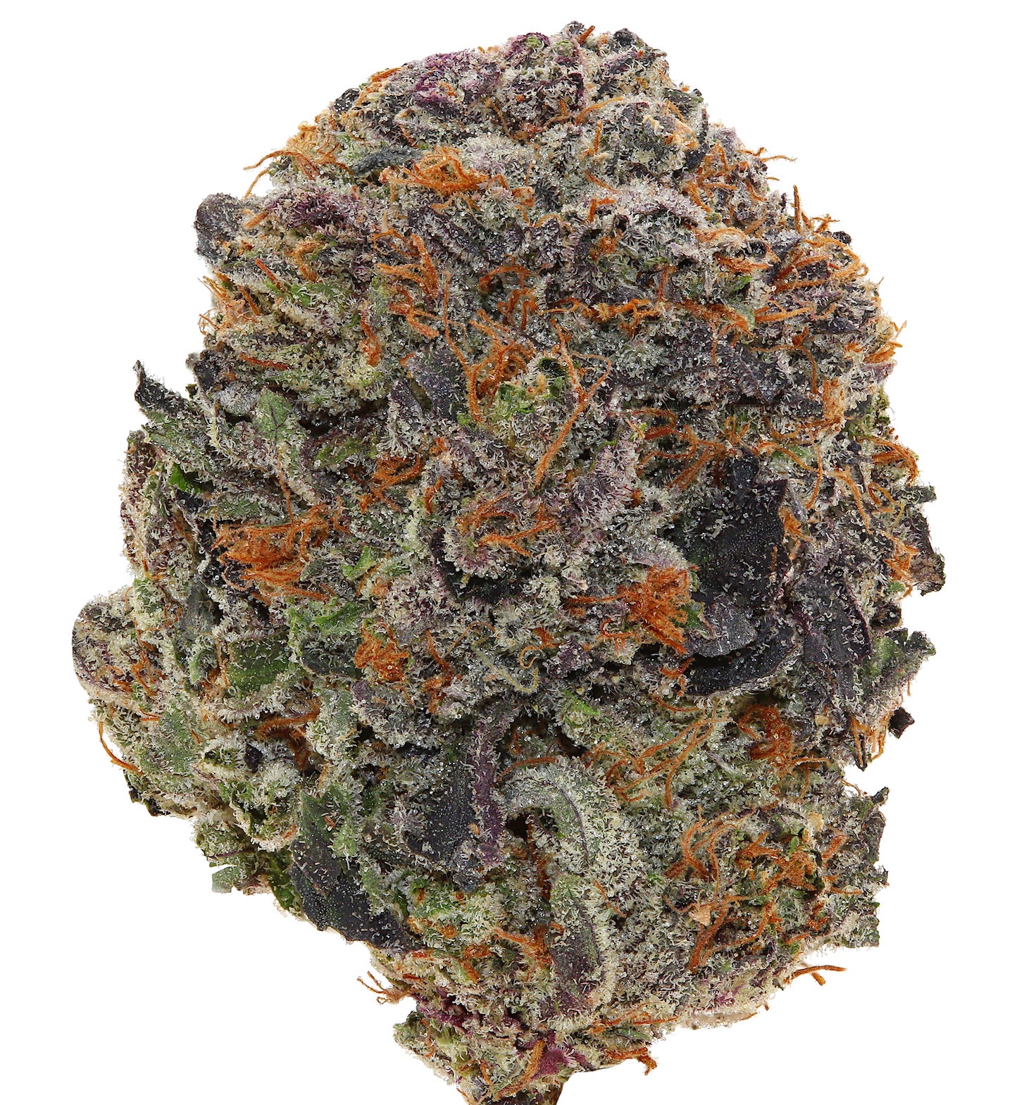 94 OCTANE <br> (MICRO BUDS) <br> (AAAA Indica)