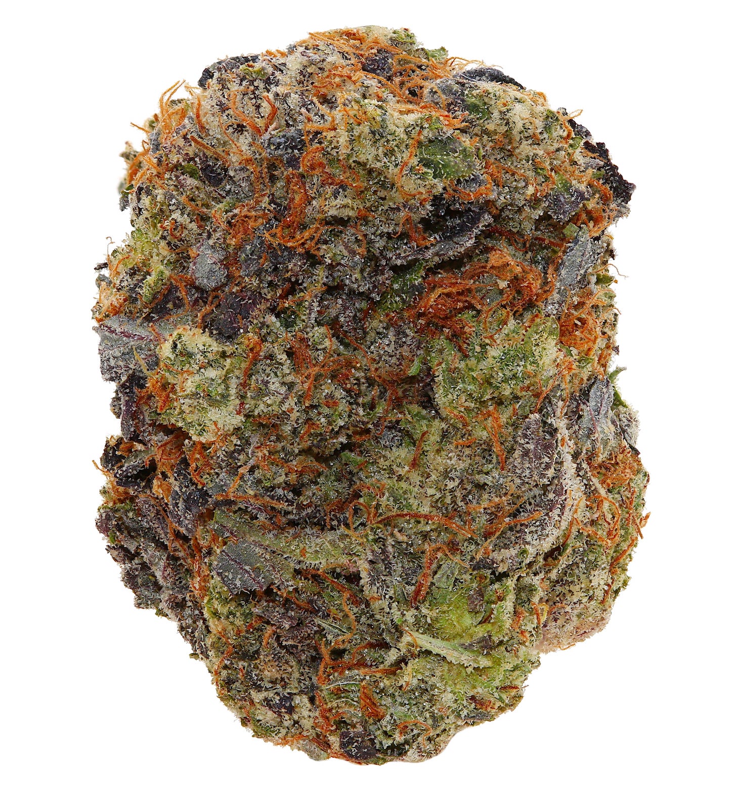 BUBBA KINGS <br> (AAAAA Indica)