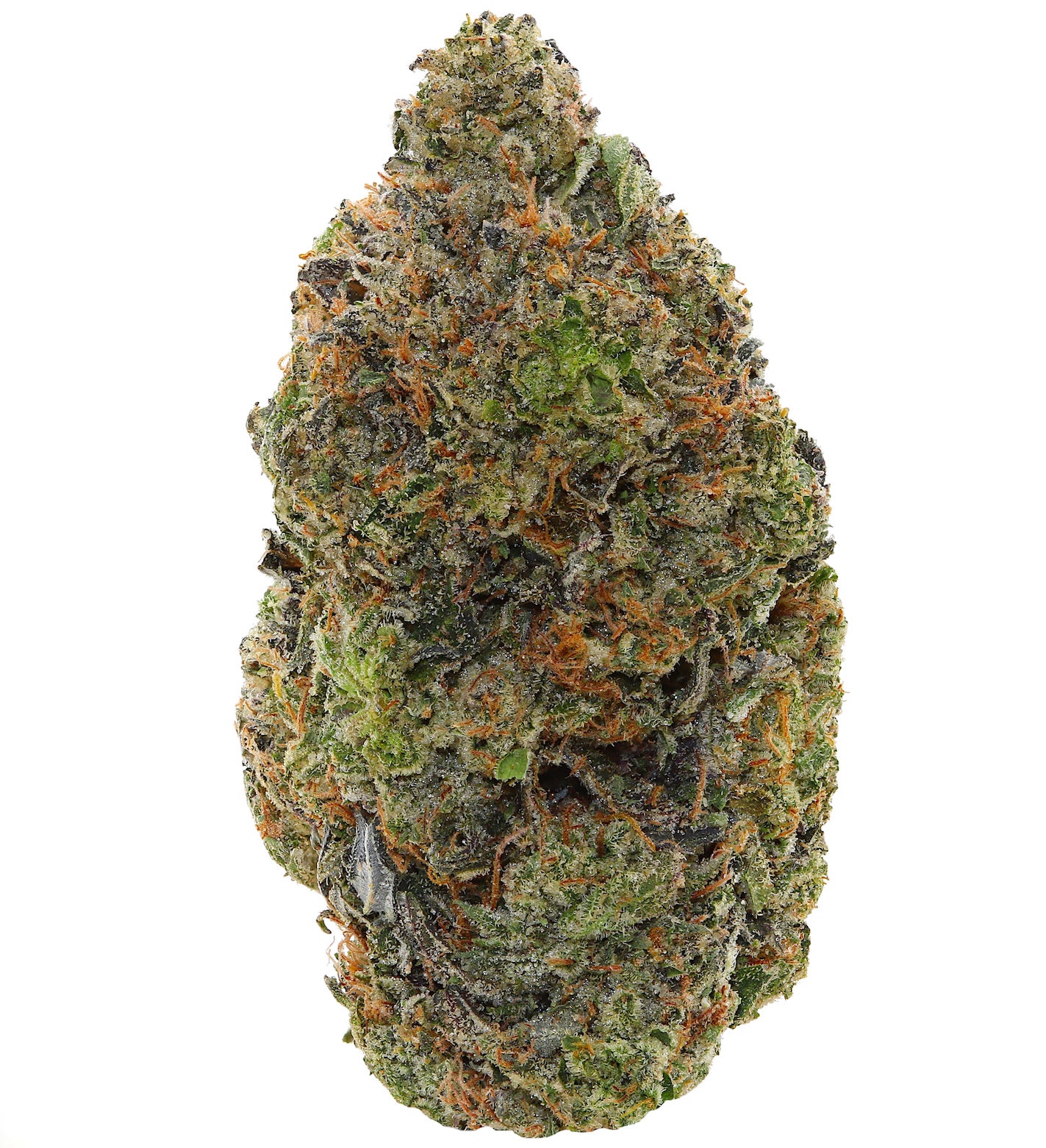 PLATINUM ROCKSTAR <br> (AAAAA Indica)