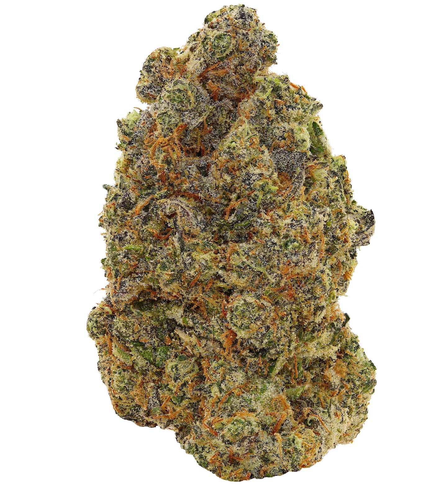 WALT'S <br> MAUI DELIGHT <br> (AAAAA Sativa)