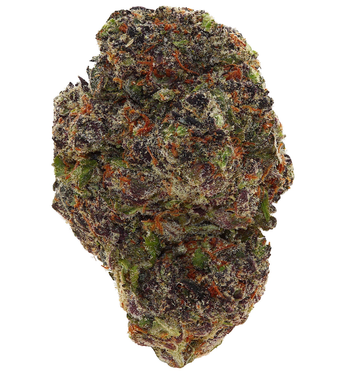 WALT'S <br> SUPER GREMLIN <br> (AAAAA+ Indica)