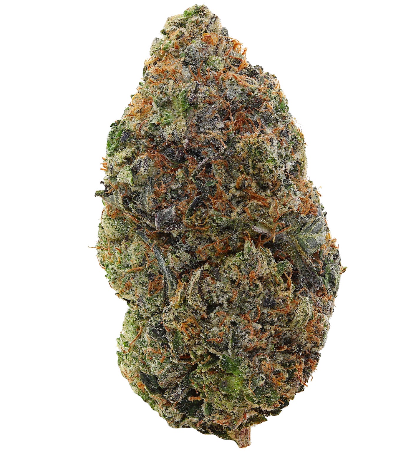 GREASY PINK <br> (AAAAA Indica)