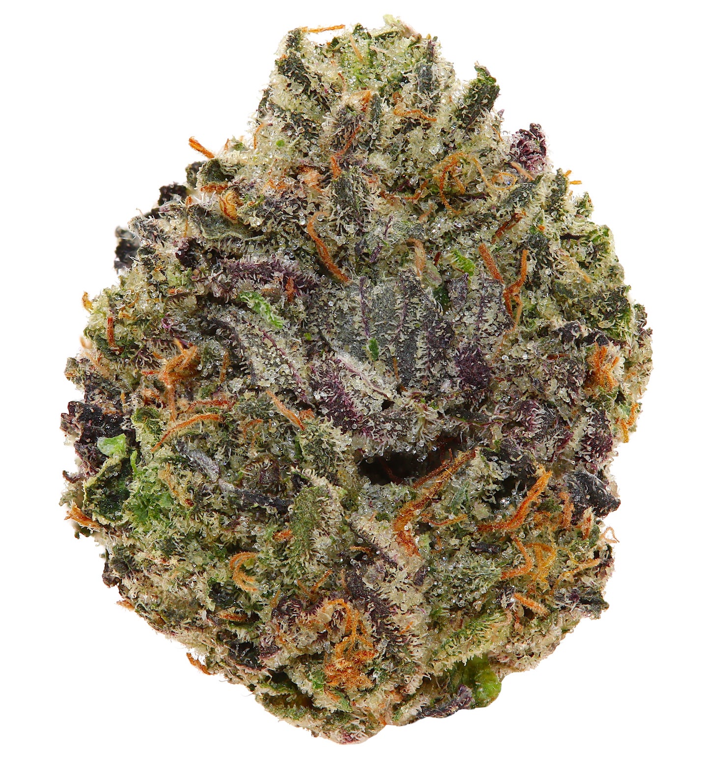 PINK CHAPO <br> (SMALL BUDS) <br> (AAAA Indica)