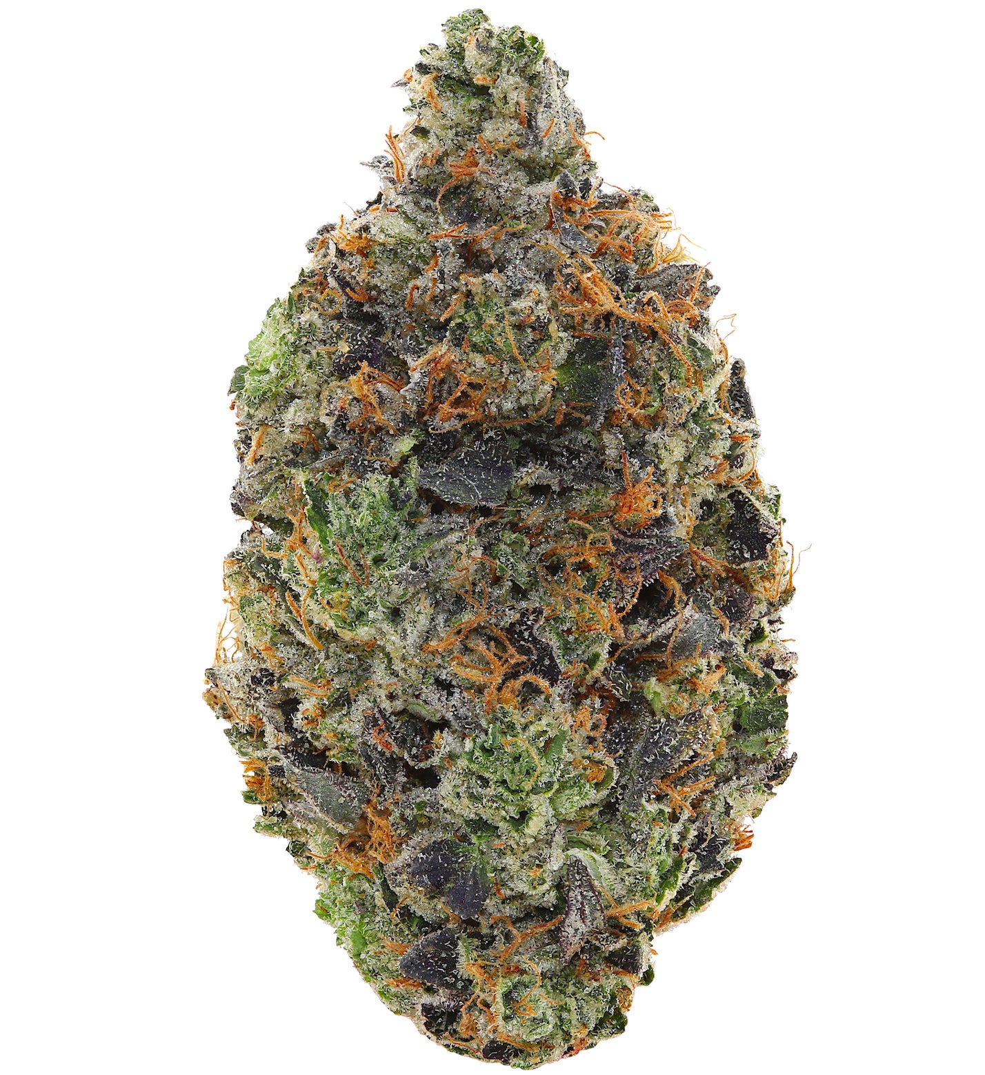 PINK CHAPO <br> (AAAAA Indica)