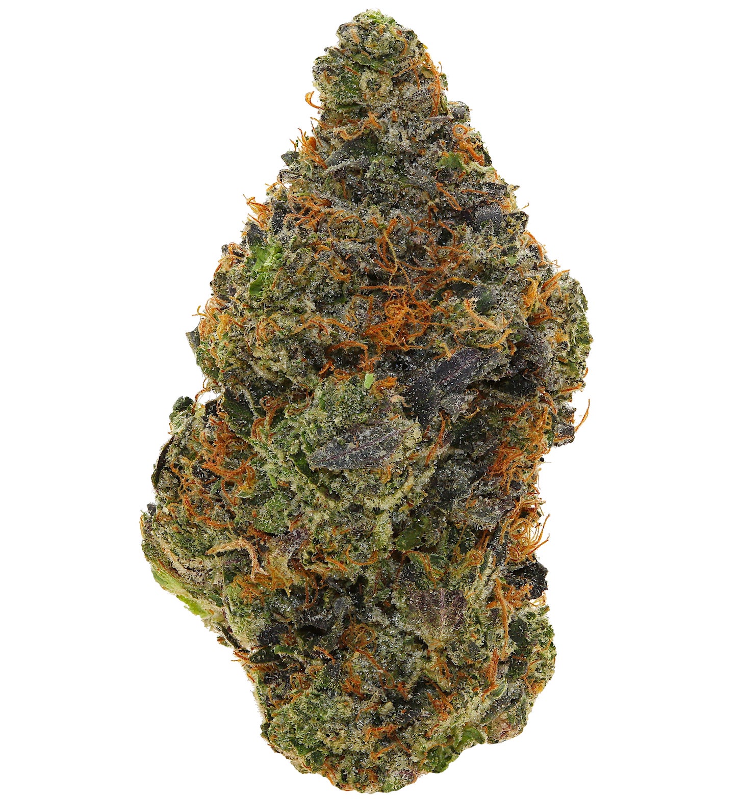 WEST COAST PINK <br> (AAAAA Indica)