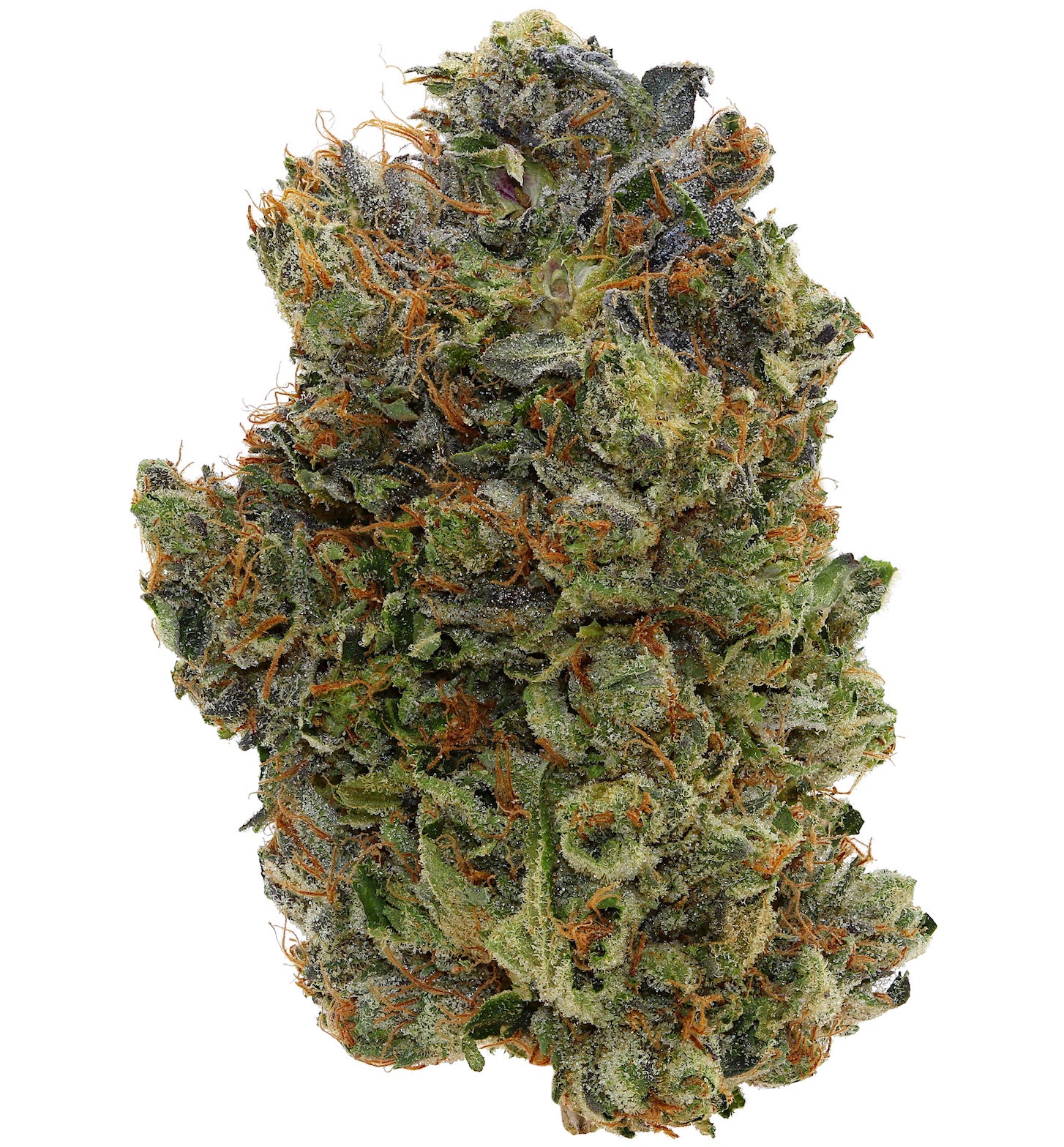 PINK KRAKEN <br> (AAAAA Indica)