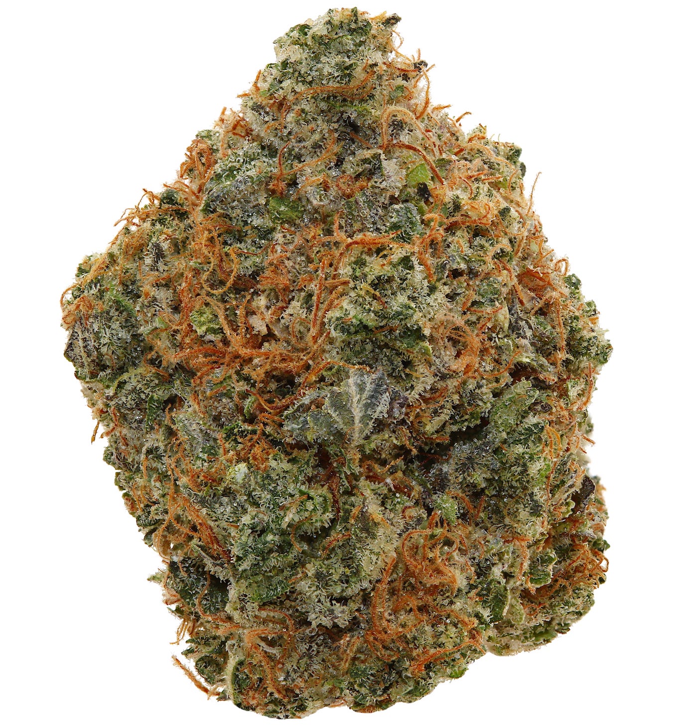 PINK REAPER <br> (SMALL BUDS) <br> (AAAA Indica)