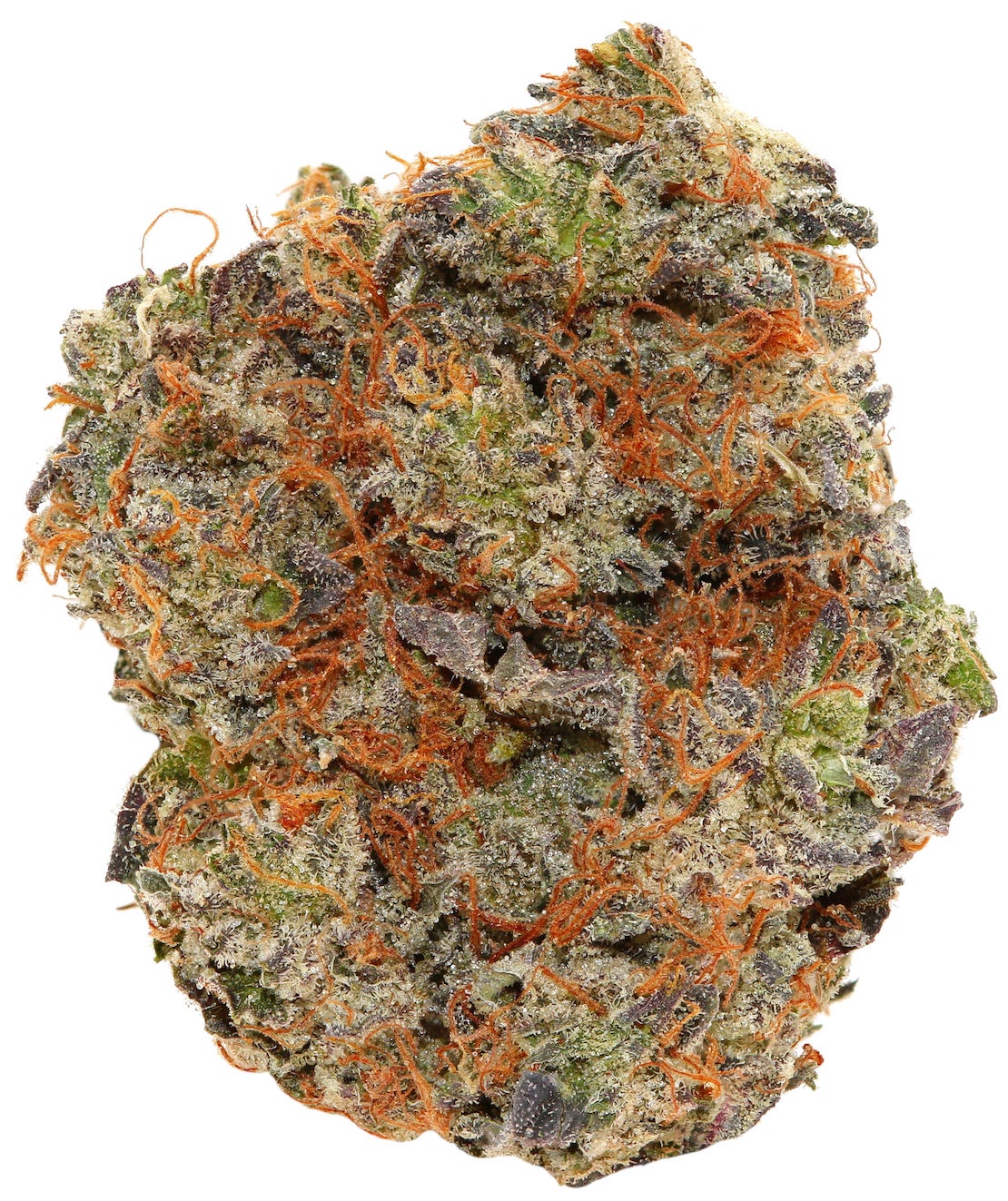WEST COAST PINK <br> (SMALL BUDS) <br> (AAAA Indica)