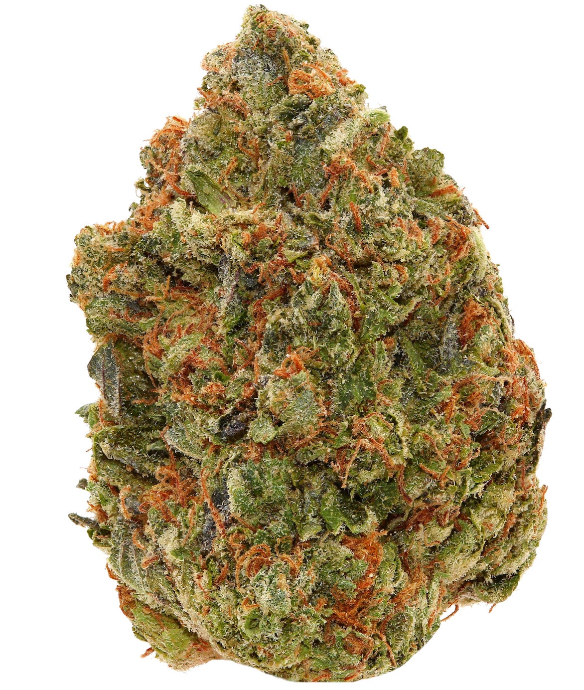 PINK COMA <br> (MICRO BUDS) <br> (AAAA Indica)