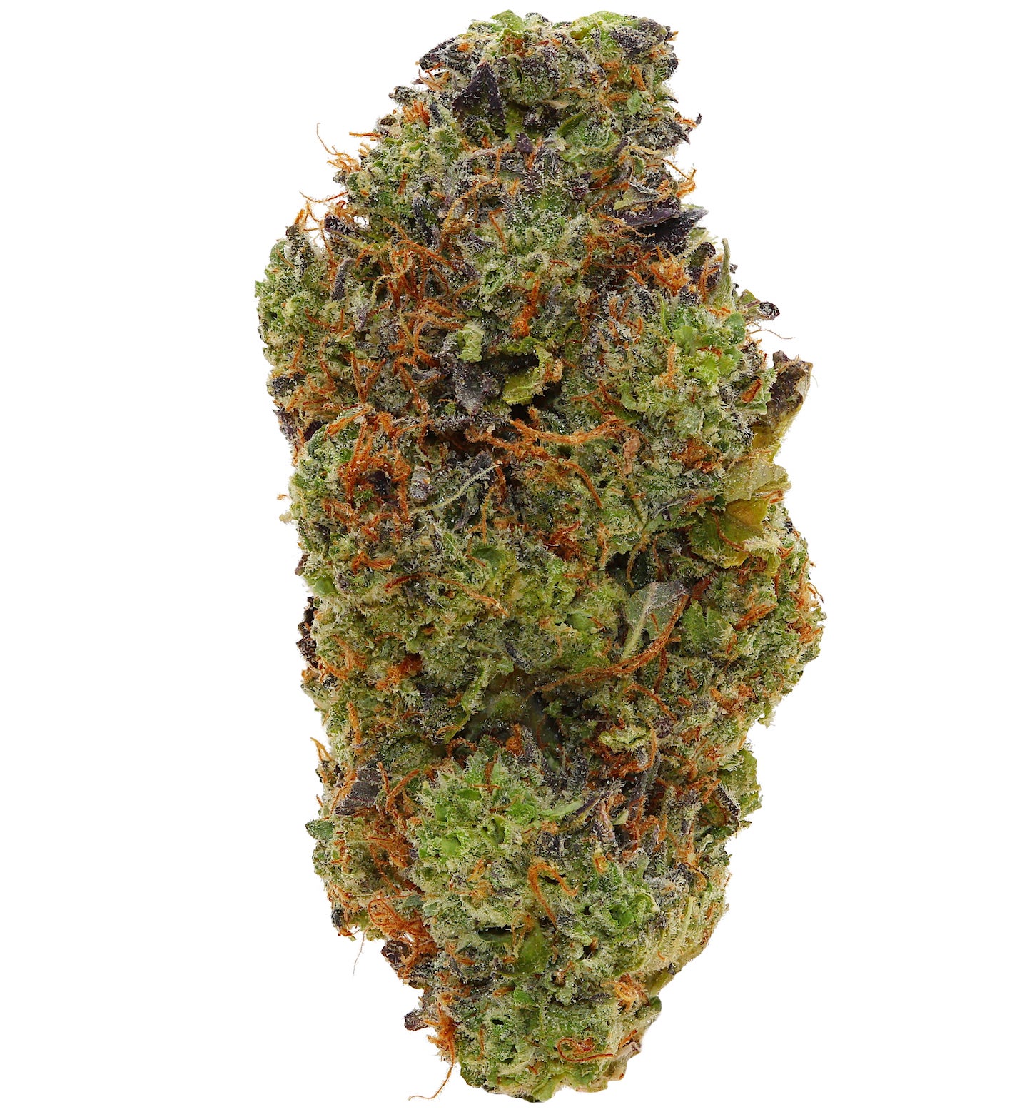 PINK TUNA <br> (AAAAA Indica)