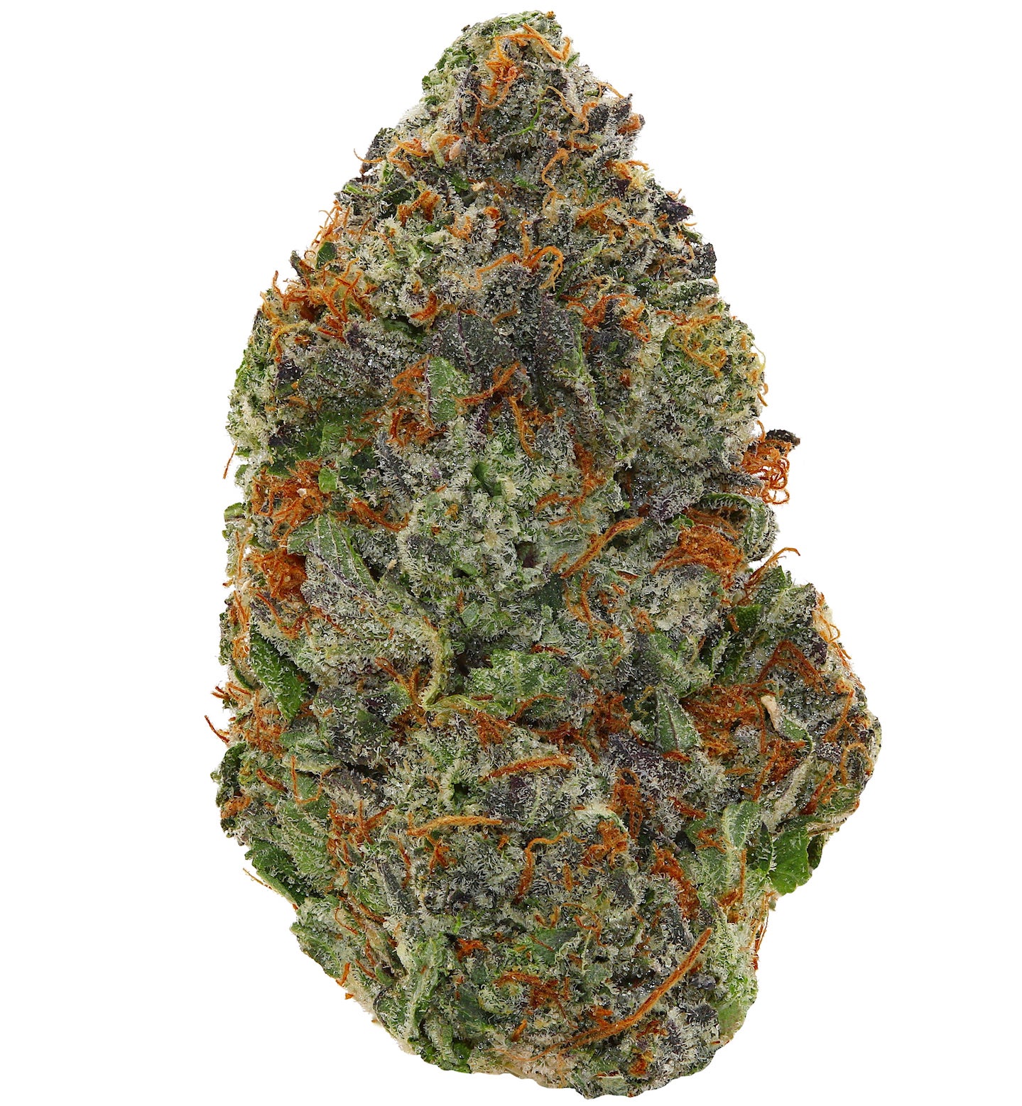 GAS MASK PINK <br> (AAAAA Indica)