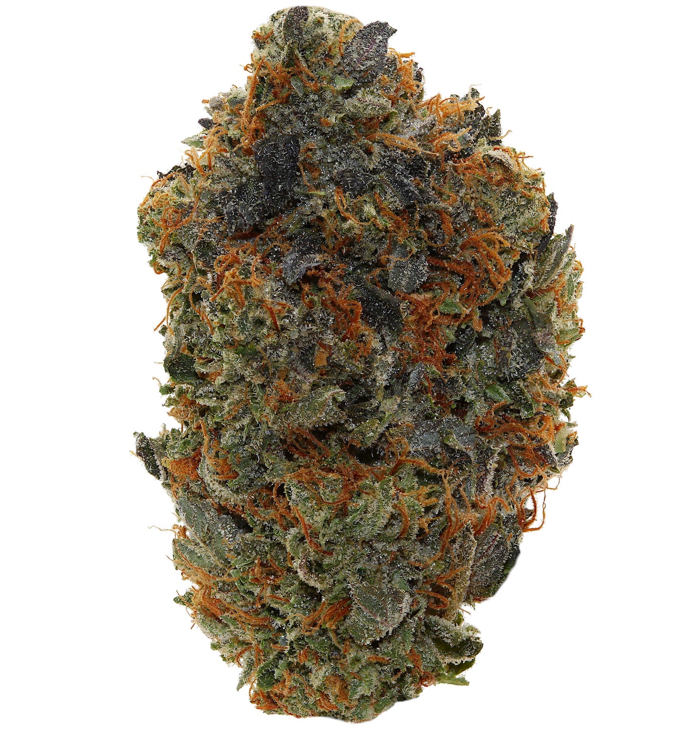 PINK GAS <br> (MICRO BUDS) <br> (AAAA Indica)