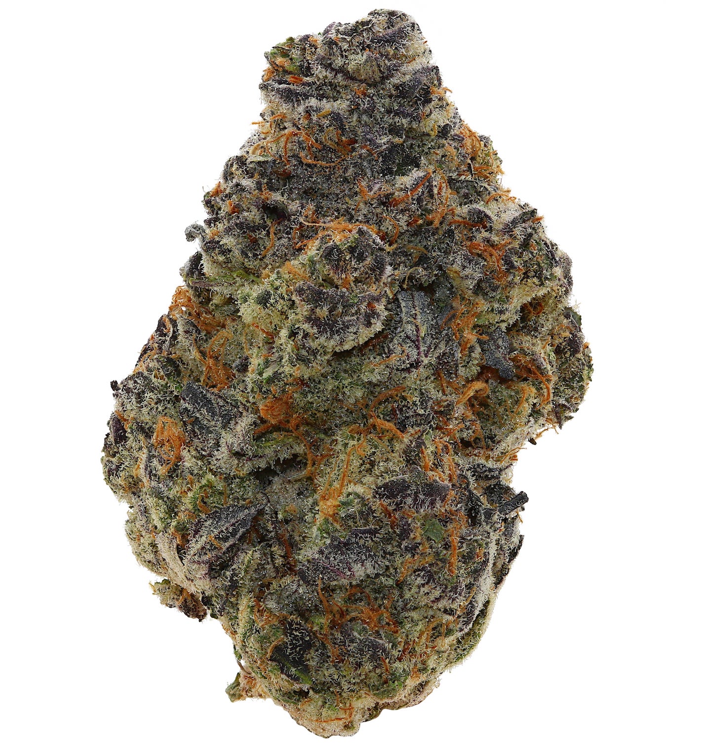 WALT'S <br> DARK RAIN <br> (SMALL BUDS) <br> (AAAA Hybrid)