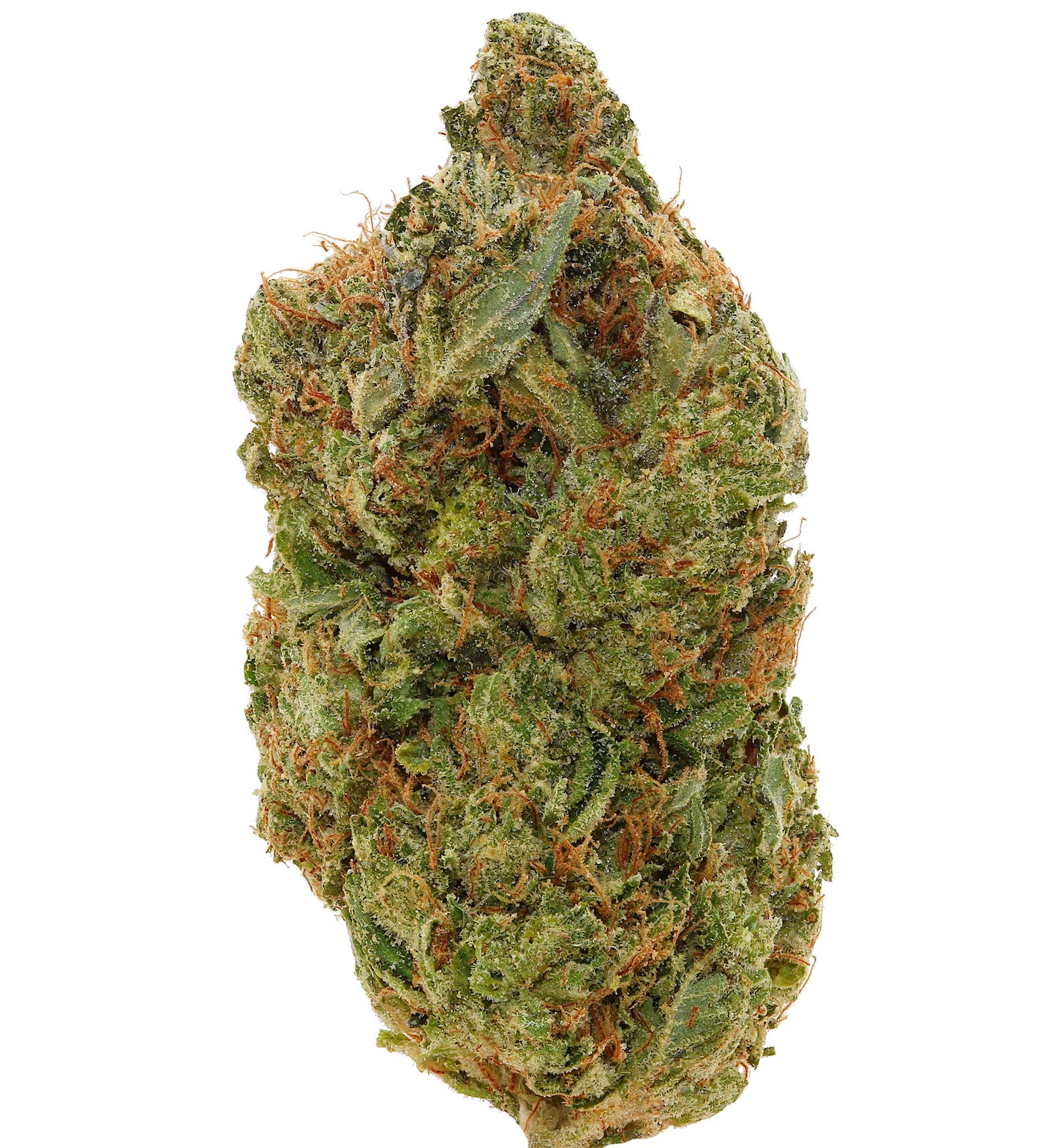 WALT'S SWEET TREAT <br> (SMALL BUDS) <br> (AAAA Sativa)