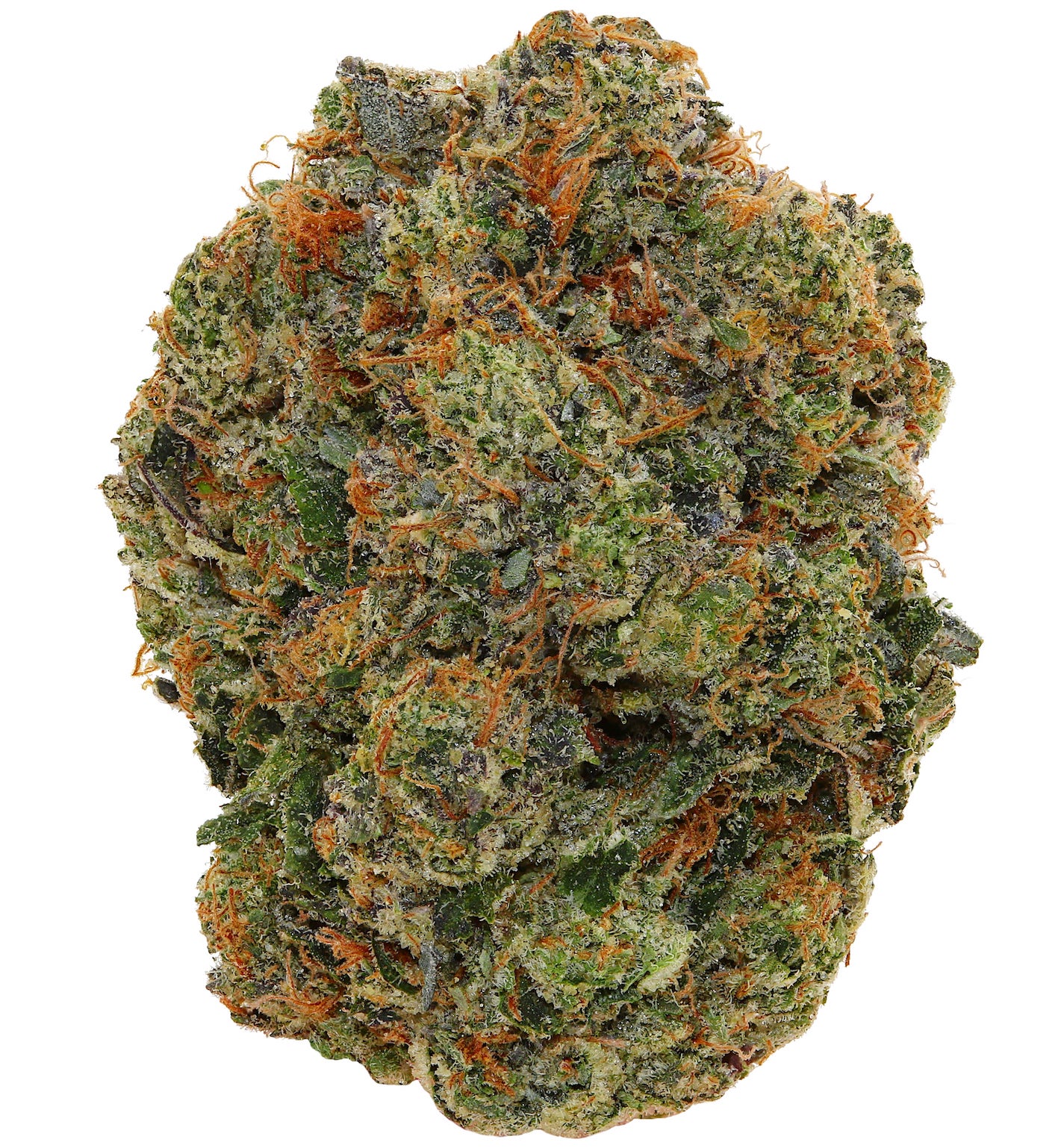 PINK GOD <br> (AAAAA Indica)