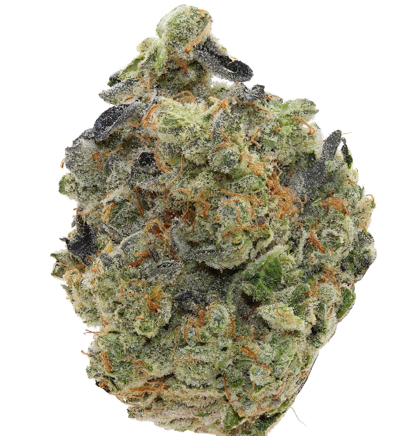 WALT'S PRESSURE <br> (SMALL BUDS) <br> (AAAA Hybrid)